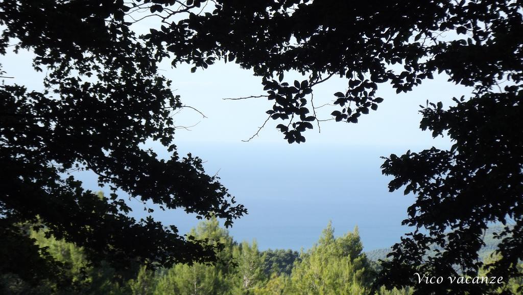 B&B Vico Vacanze Vico Del Gargano Eksteriør bilde