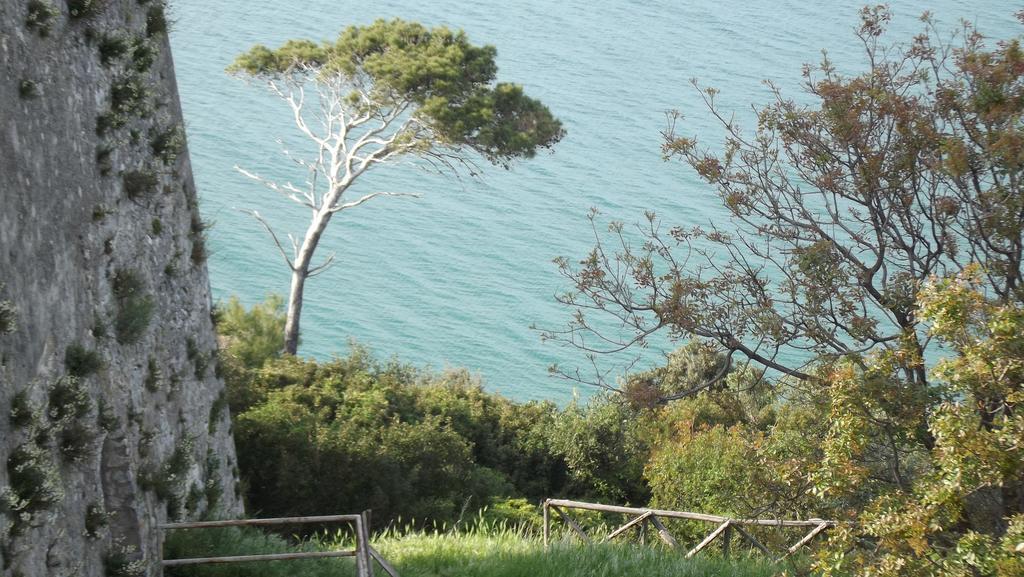 B&B Vico Vacanze Vico Del Gargano Eksteriør bilde