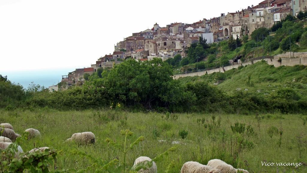 B&B Vico Vacanze Vico Del Gargano Eksteriør bilde