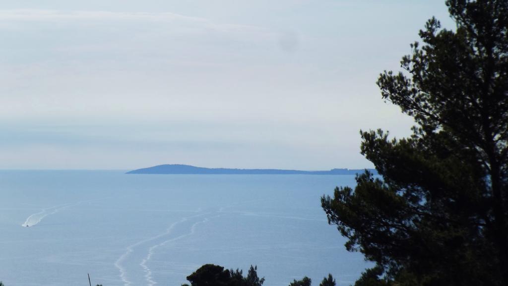 B&B Vico Vacanze Vico Del Gargano Eksteriør bilde